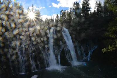 DSC_5939 (Large).JPG